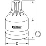 Douille à chocs courte 1/2" XZN M16 L43mm - KS TOOLS 515.1173 